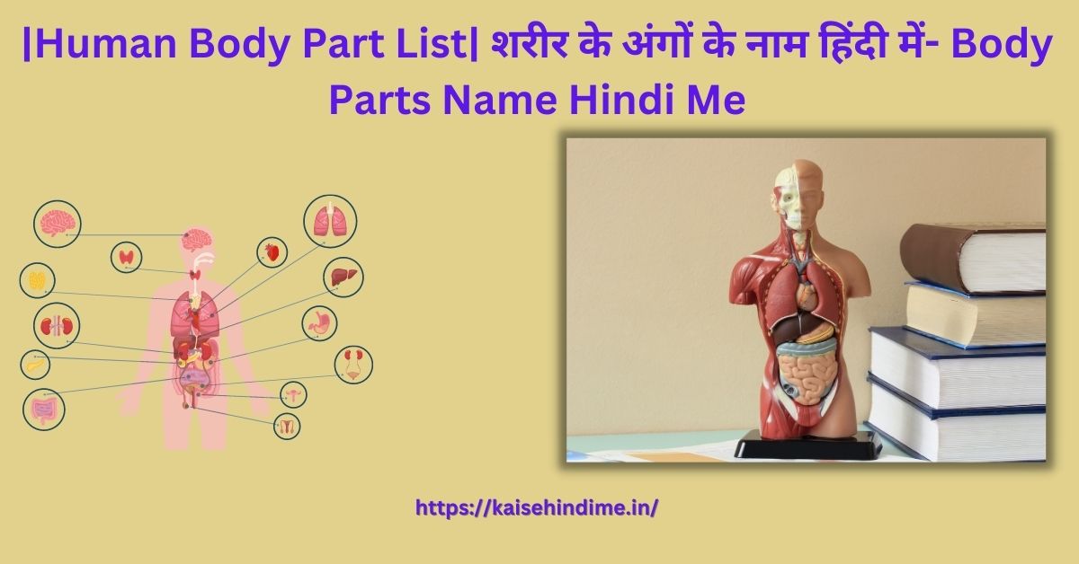 Human Body Part List In Hindi