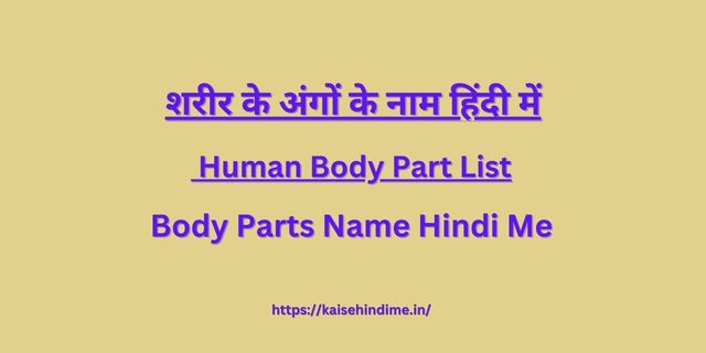 Human Body Part Name